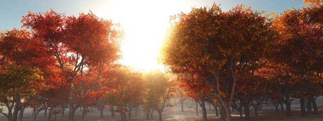 Sunlight through the trees. Autumn park in the morning. Sunny forest, 3D rendering