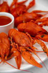 crayfish