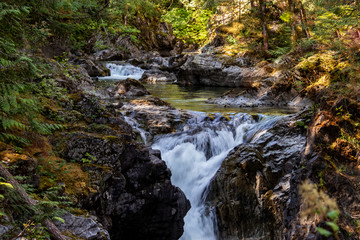 Obraz premium Lush greenery and waterfalls, Qualicum Falls, Vancouver Island, BC, Canada