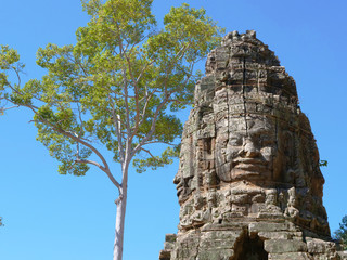 Fototapeta premium Stone rock carving art of face at Banteay Kdei, part of the Angkor wat complex in Siem Reap, Cambodia