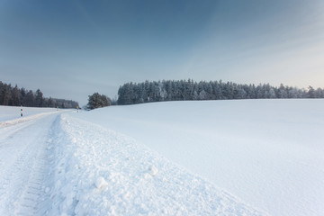 winter landscape with the road in the snow
