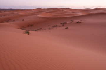 Paisaje desierto con dunas. Erg Chebbi. Marruecos