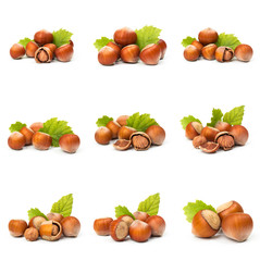 Set of Hazelnut nut many leaves isolated on a white background as a packaging design element