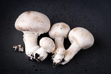 Button mushrooms growing with soil, presented on a grey plate