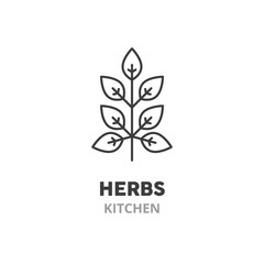 Leaves, seasoning  thin line icon. Kitchen herbs symbol, vector illustration, isolated on white background.