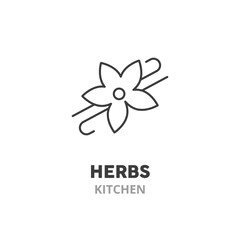 Vanilla thin line icon. Kitchen herbs symbol, vector illustration, isolated on white background. .