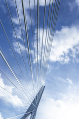 Fototapeta premium Erasmus bridge in Rotterdam