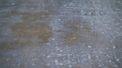 Worker puts primer with roller on concrete floor. Apartment under construction. The worker primers...