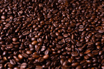 Close up of fresh roasted brown coffee beans - angled view