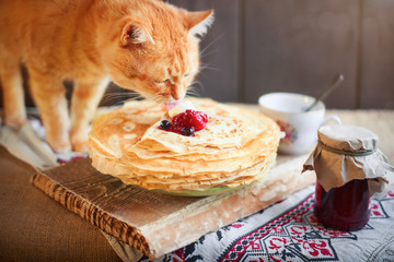 Home red cat eats crepes or pancakes with cream on the kitchen table. No people. © murika