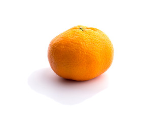 one orange tangerine on a white background