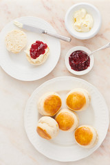 Plain Scones