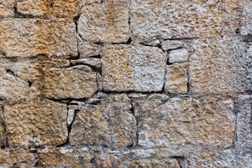 Background of natural old stone brick of an old castle, hedge.