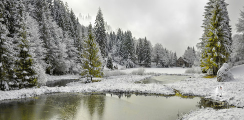 Obraz na płótnie Canvas Winter forest in the Carpathians on the mountain lake Vita, Mizhhirya