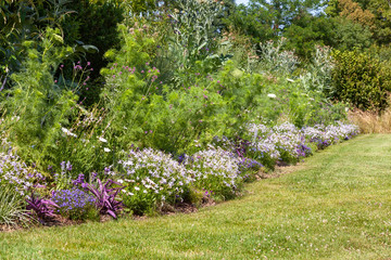 Pareterre de fleur dans un jardin