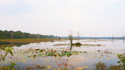 Beautiful nature landscape view of lake pond at Neak Poan in Angkor Wat complex, Siem Reap Cambodia.