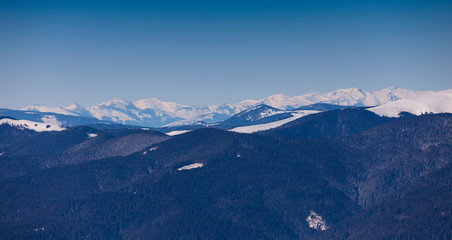 Fototapeta na wymiar Rodnei mountain in winter. Romania