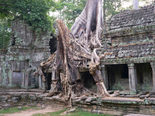 Landscape view of demolished stone architecture and aerial tree root at Preah Khan temple Angkor Wat complex, Siem Reap Cambodia. A popular tourist attraction nestled among rainforest.