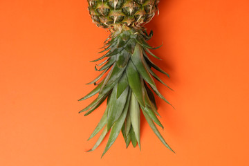 Top of pineapple on orange background, space for text. Juicy fruit