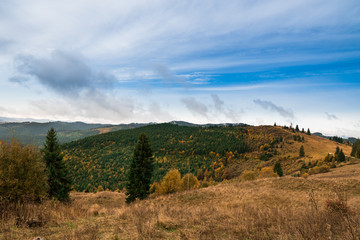 Fototapeta na wymiar Mountain autumn landscape covered with colorful forest and grass.