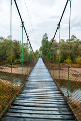 Obraz premium Dramatyczny obraz krajobrazu ciemnego nieba nad lasem i samotnego drewnianego mostu nad rzeką.