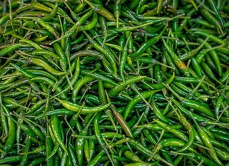  Green hot chili peppers, is the fruit of plants from the genus Capsicum which are members of the nightshade family, Solanaceae