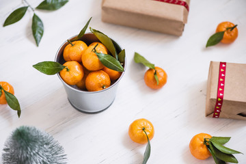 Christmas decoration of mandarin in an iron small bucket, Christmas tree, gifts  on the white wooden boards background