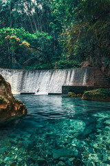 Kawasan Falls, Moalboal. Filipinas