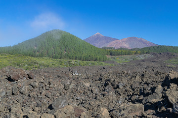 Teide and Montaña blanca volcanoes, with canarian green pines forest and volcanic landscape, and...