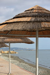 beach umbrellas on the beach