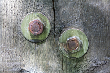 Old bolts screwed into a wooden post