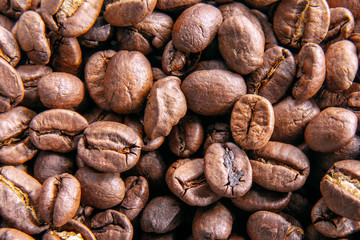 Coffee background / Many aromatic coffee beans for a cafe or restaurant / Close up