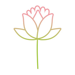 flower stem leaves plant gradient icon