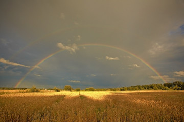 double rainbow over a wheat field