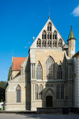 Naklejka premium Salemer Münster