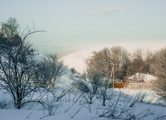 winter landscape of forest and nature