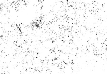 Fototapeta premium Abstract vector noise. Small particles of debris and dust. Distressed uneven background. Grunge texture overlay with fine grains isolated on white background. Vector illustration. EPS10.