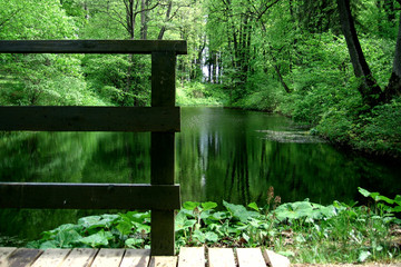 Fence near the forest pond