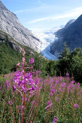 Beautiful  landscape in Norwegian mountains