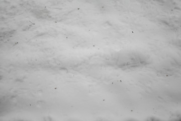 white snow, background, texture
