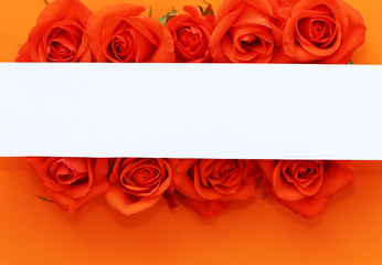 Background with beautiful roses and copy space.