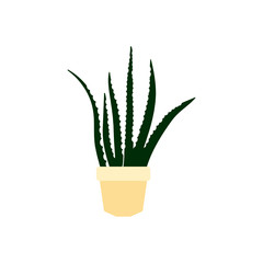 aloe vera in pot plants flat icon