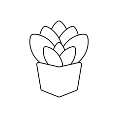 potted succulent plants line style icon