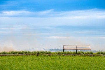 bamboo bench in green field against blue sky