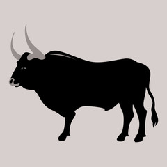 bull  vector illustration,profile view,flat style