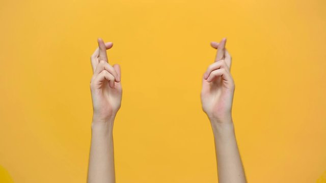 Woman hands keeping fingers crossed, waiting for special moment, making wish pray isolated over yellow background in studio. Copy space for advertisement. With place text or image promotional content.