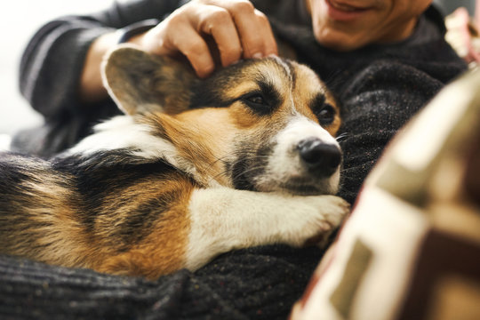 Young Man Owner Petting The Dog, Resting With His Pet At Home On Couch, Spending Time Together, Cute Welsh Corgi Puppy. Concept Friendship With Dog And Human, Cute Moments, Relaxing, Carefree.