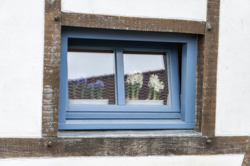 Spring flowers hyacinths on the windowsill in a half-timbered old house close-up with white old shabby stucco. Wooden pegs in a vintage Fachwerk construction close-up.