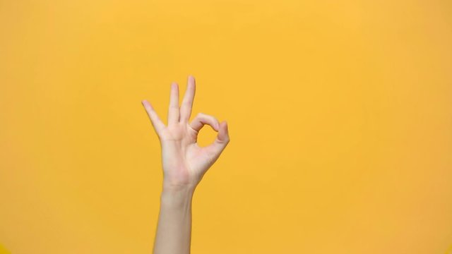 Woman hand showing OK okay gesture sign isolated over yellow background in studio. Copy space for advertisement. With place for text or image, promotional content. Advertising area, workspace mock up.