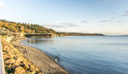 Obraz premium Autumn Colors Over Shoreline 4